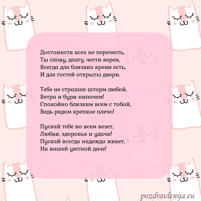 Розовая открытка с забавными кошками