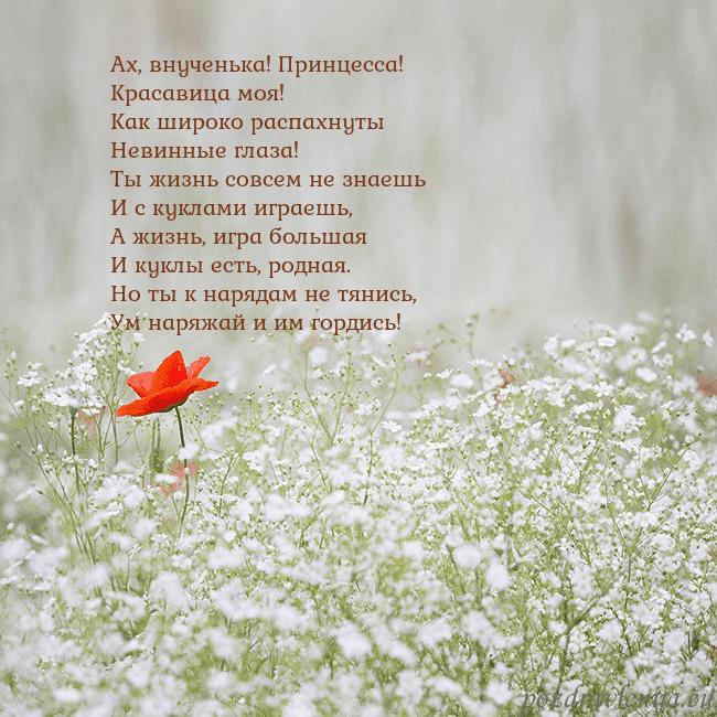 Электронная открытка с белыми цветами