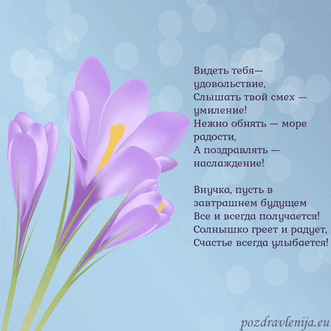 Открытка с крокусом