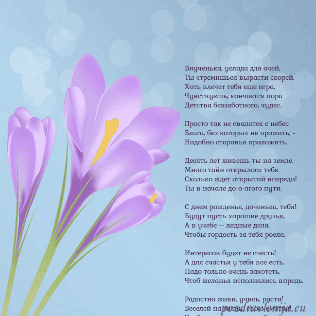 Открытка с крокусом