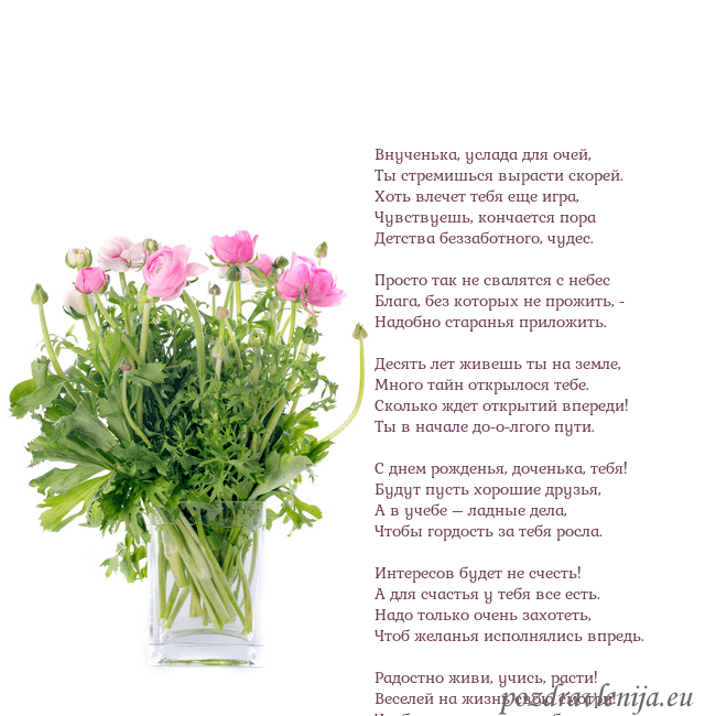 Открытка с цветами в вазе Внученька, услада для очей,
Ты стремишься вырасти Открытка с цветами в вазе