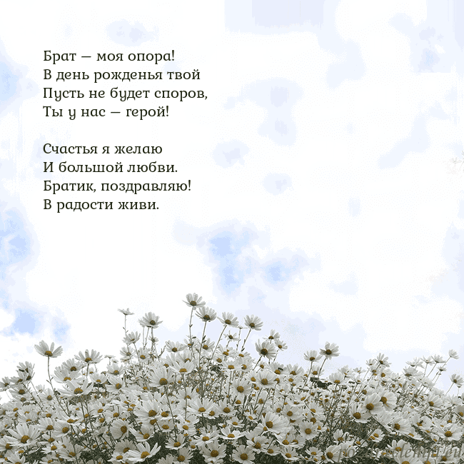 Открытка с ромашками