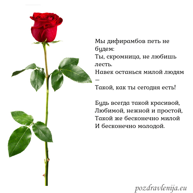 Открытка с красной розой