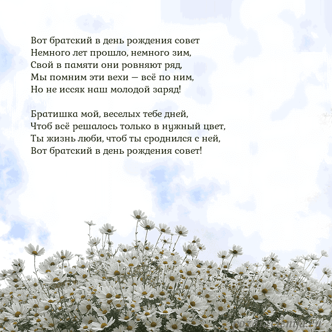 Открытка с ромашками