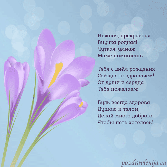 Открытка с крокусом