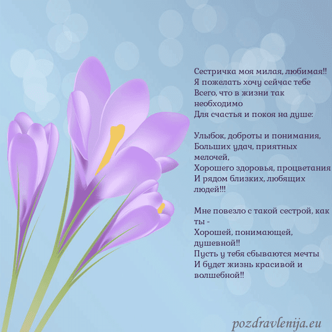 Открытка с крокусом