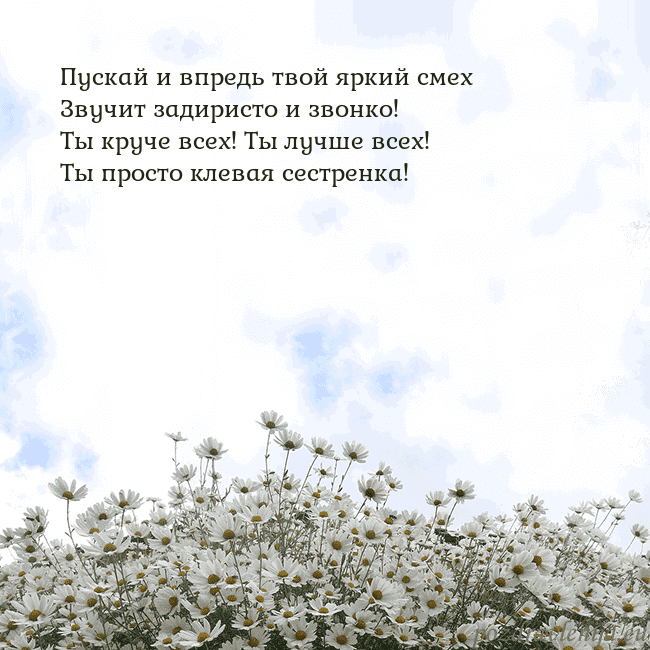 Открытка с ромашками