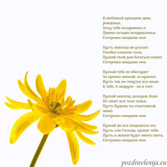 Открытка с желтым цветком В любимый праздник день рожденья,
Хочу тебя поздра Открытка с желтым цветком
