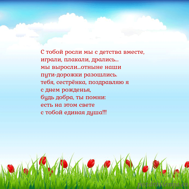 Открытка с тюльпанами