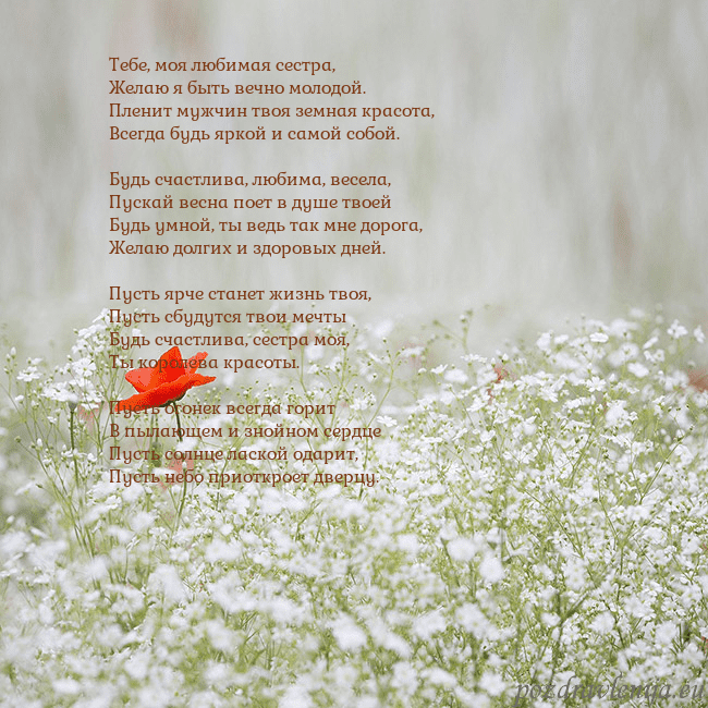 Электронная открытка с белыми цветами