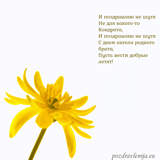 Открытка с желтым цветком