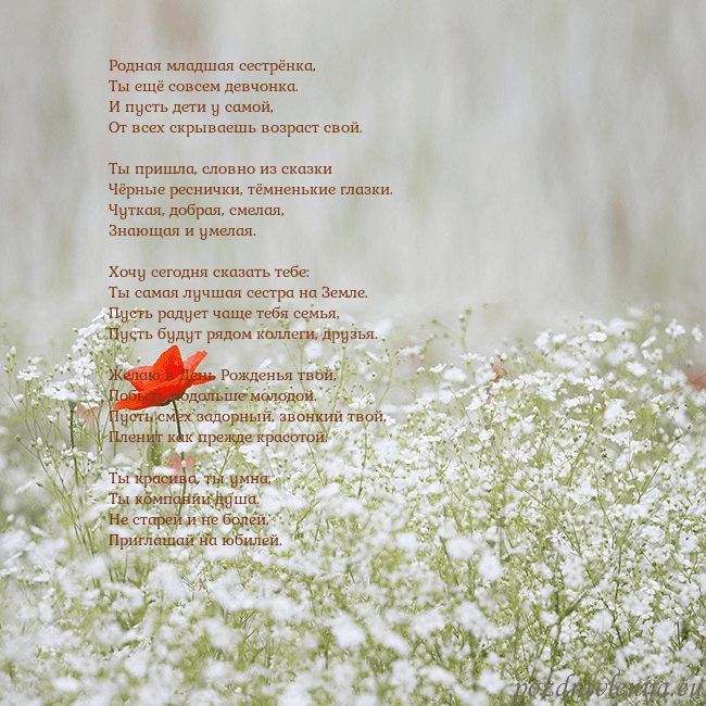 Электронная открытка с белыми цветами