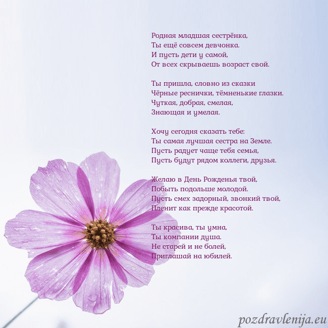 Электронная открытка с фиолетовым цветком