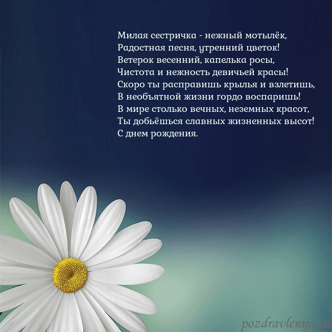 Открытка с большой ромашкой