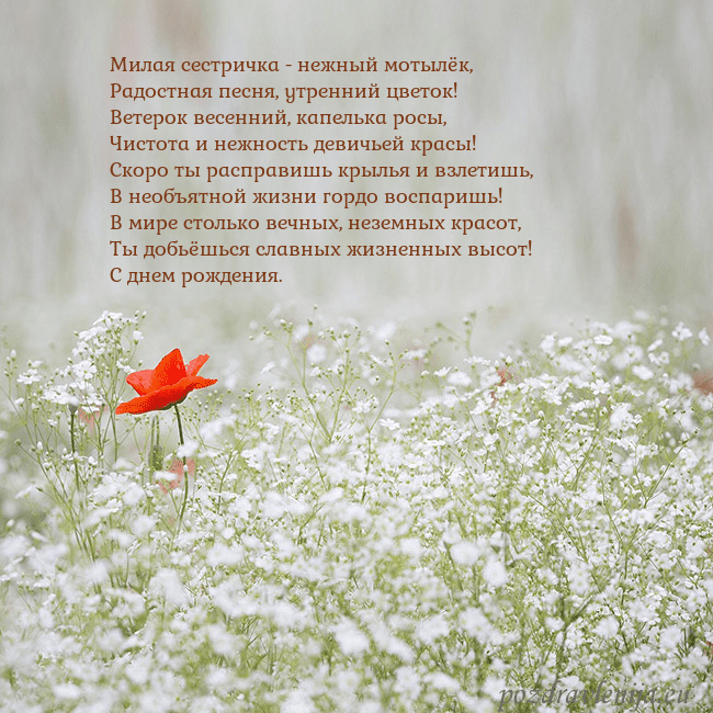 Электронная открытка с белыми цветами