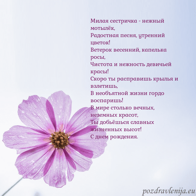 Электронная открытка с фиолетовым цветком