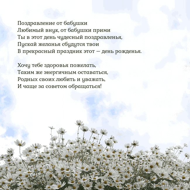 Открытка с ромашками