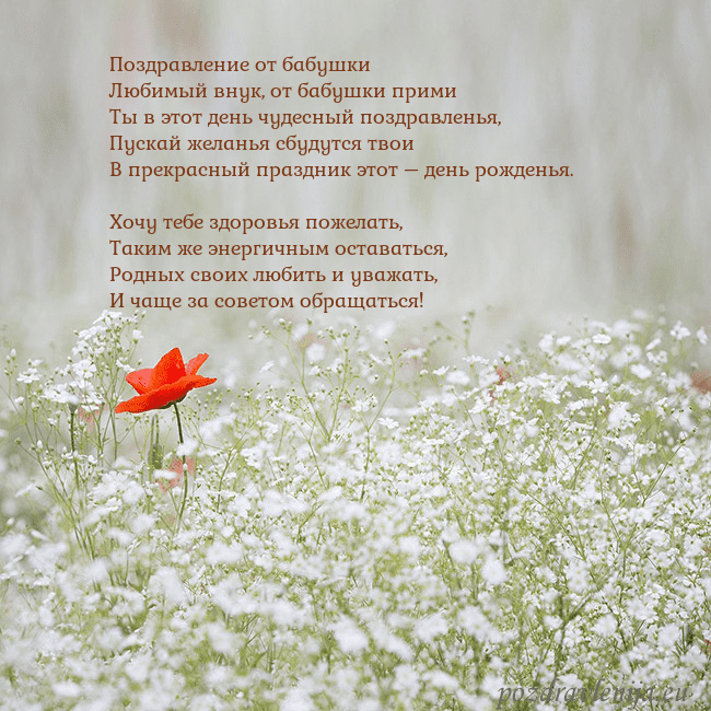 Электронная открытка с белыми цветами