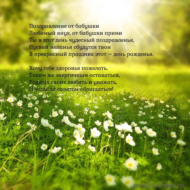 Электронная открытка с утопающим в солнечном свете лугом