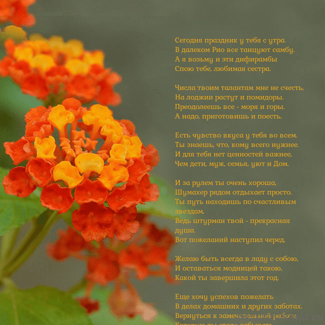 Открытка с оранжевыми цветами Сегодня праздник у тебя с утра.
В далеком Рио все Открытка с оранжевыми цветами