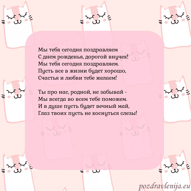 Розовая открытка с забавными кошками