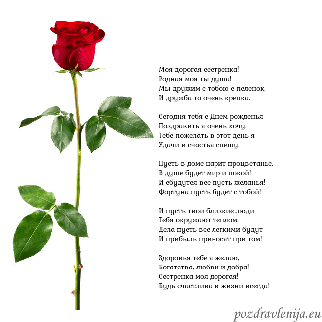 Открытка с красной розой Моя дорогая сестренка!
Родная моя ты душа!
Мы друж Открытка с красной розой