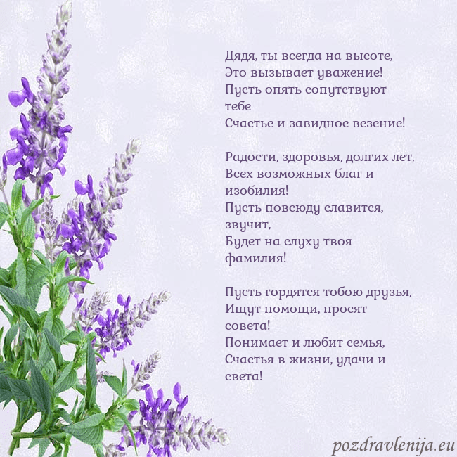 Открытка с люпинами