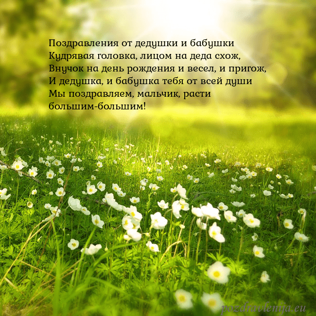 Электронная открытка с утопающим в солнечном свете лугом