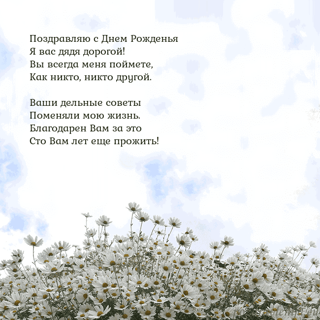 Открытка с ромашками