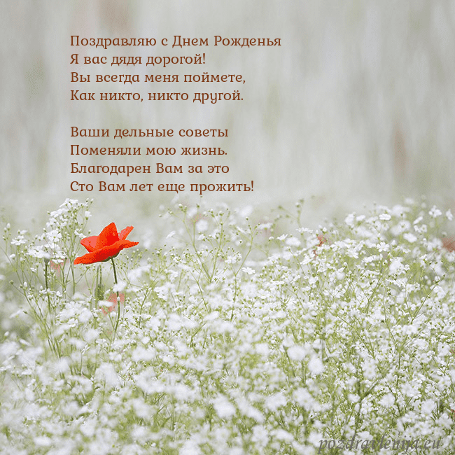 Электронная открытка с белыми цветами