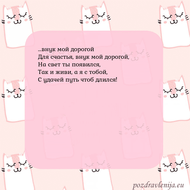 Розовая открытка с забавными кошками