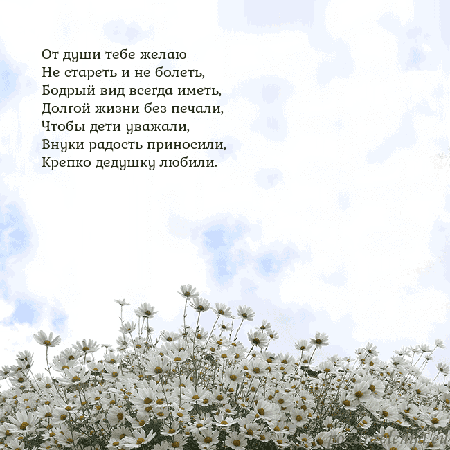 Открытка с ромашками