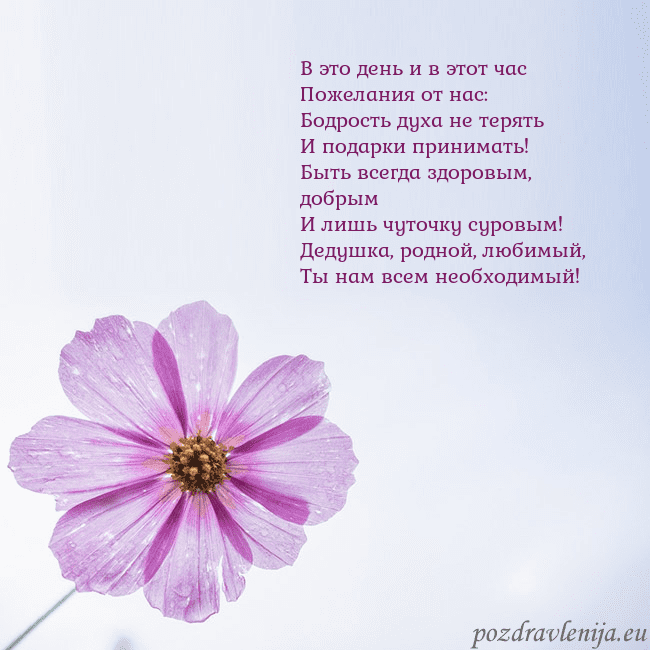 Электронная открытка с фиолетовым цветком