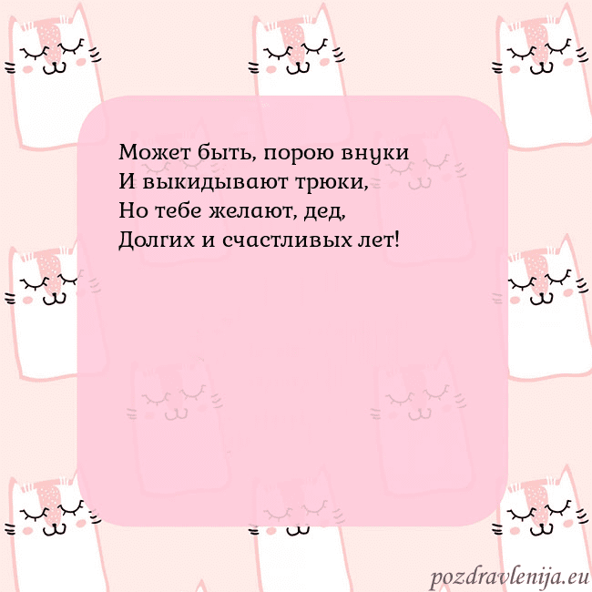 Розовая открытка с забавными кошками