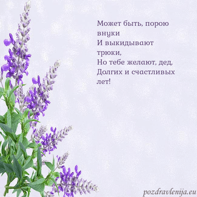 Открытка с люпинами