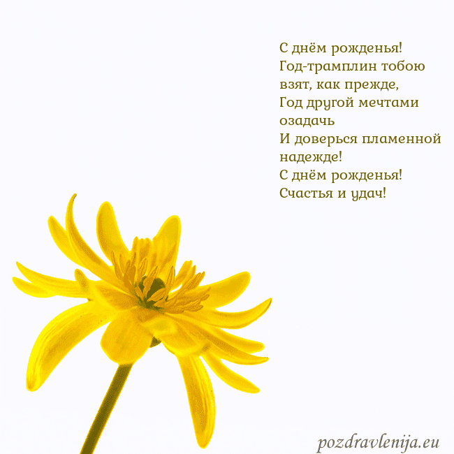 Открытка с желтым цветком