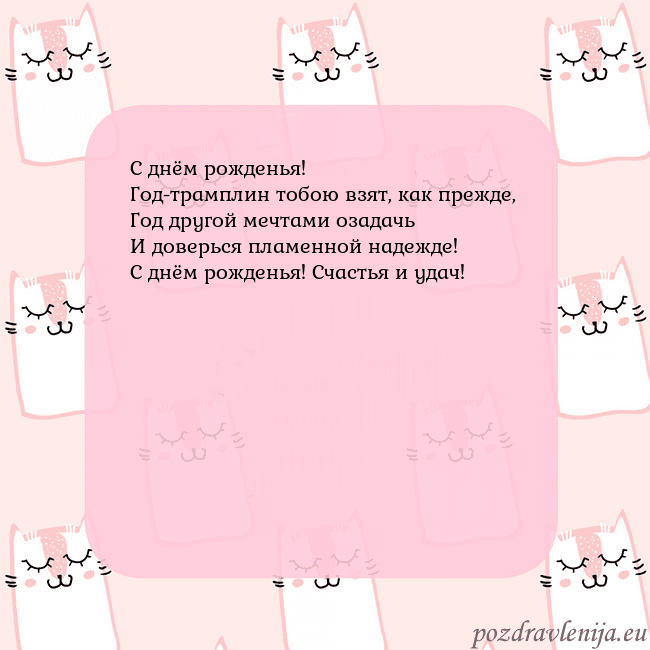 Розовая открытка с забавными кошками