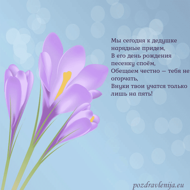 Открытка с крокусом