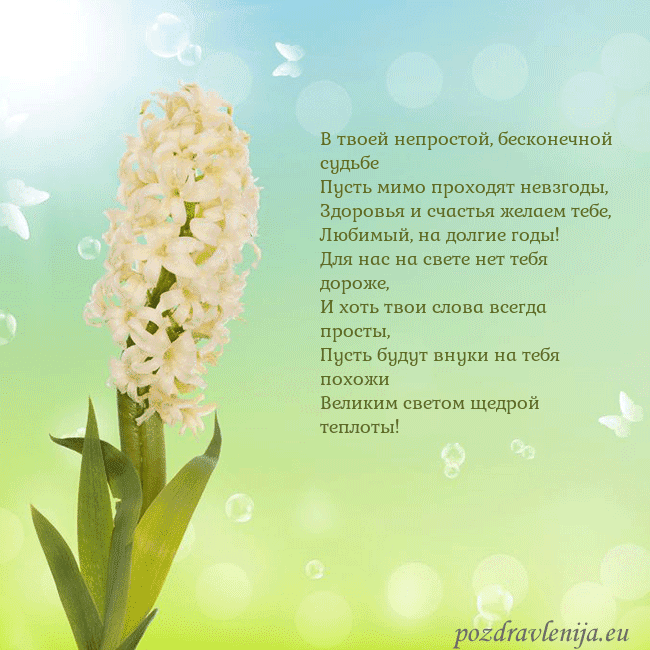 Открытка с гиацинтом