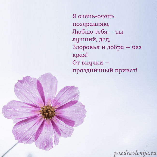 Электронная открытка с фиолетовым цветком
