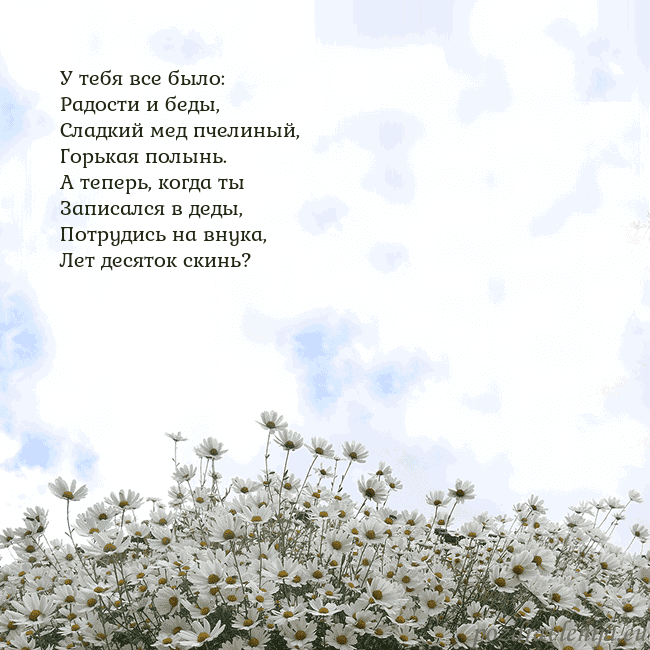 Открытка с ромашками