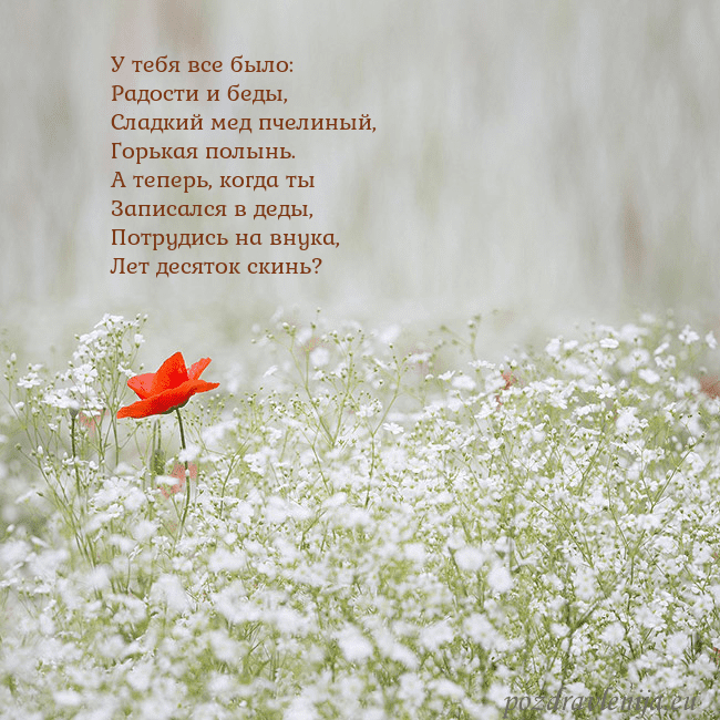 Электронная открытка с белыми цветами