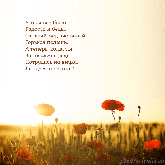 Электронная открытка с полем маков