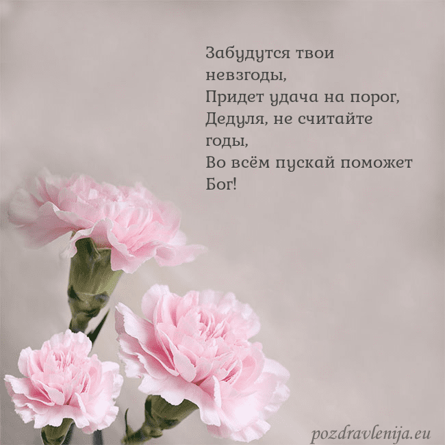 Открытка с розовыми гвоздиками