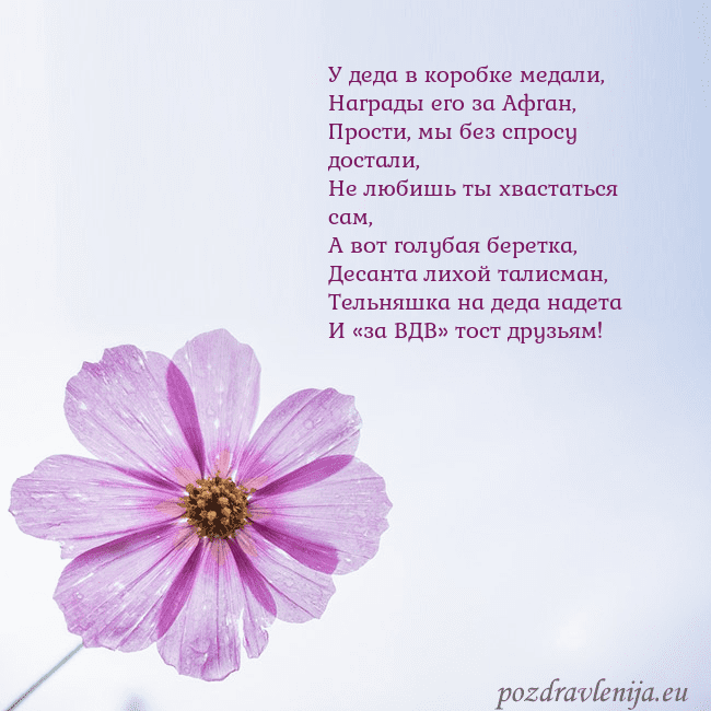 Электронная открытка с фиолетовым цветком