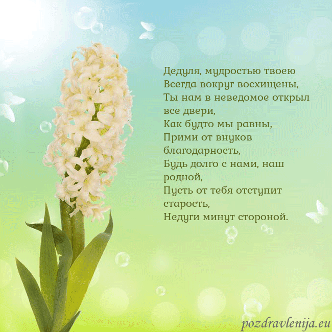 Открытка с гиацинтом