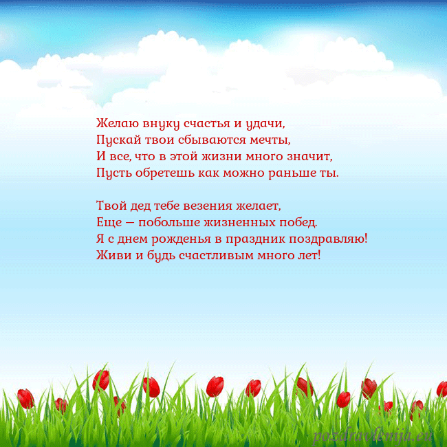 Открытка с тюльпанами