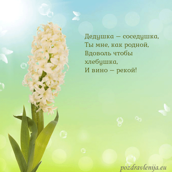 Открытка с гиацинтом