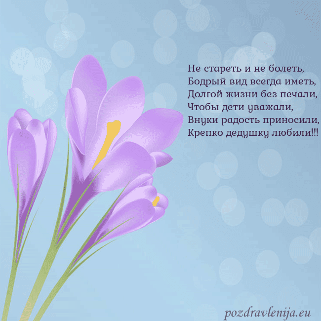 Открытка с крокусом