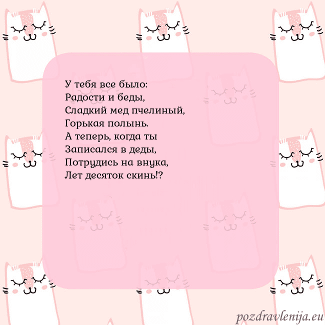 Розовая открытка с забавными кошками